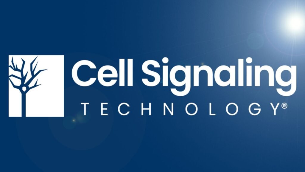 cell signaling technology