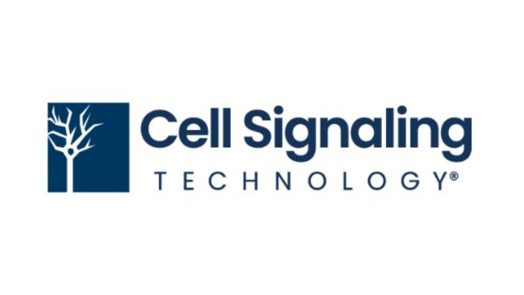 cell signaling technology