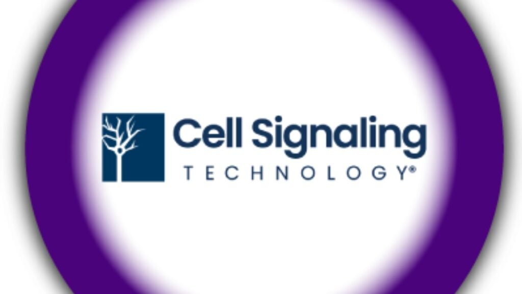 cell signaling technology