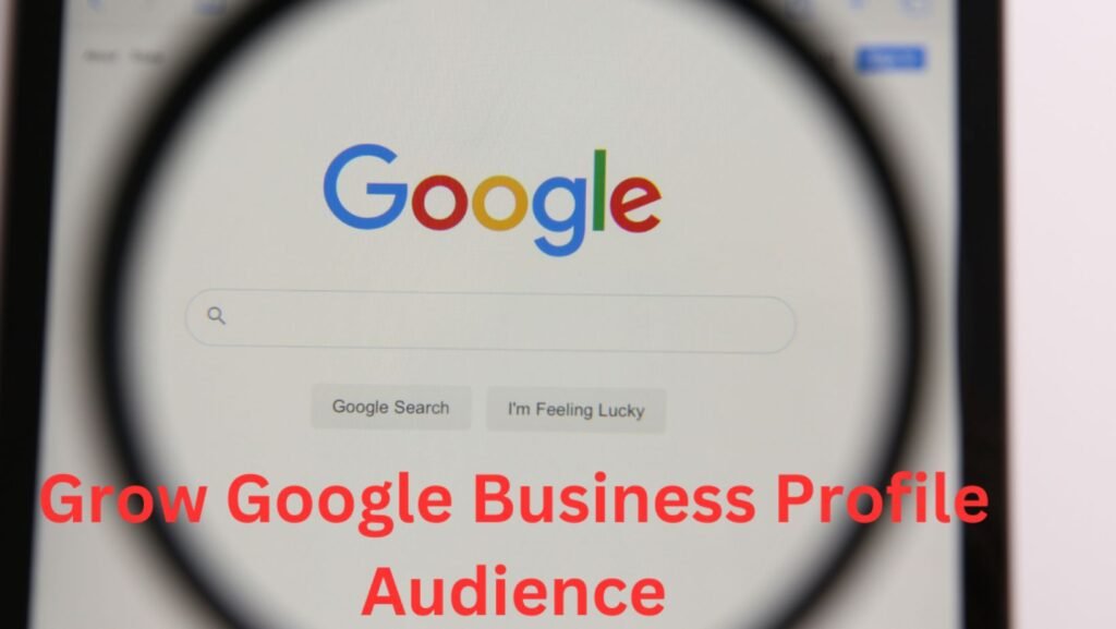 grow google business profile audience